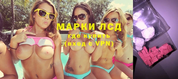 спайс Алзамай