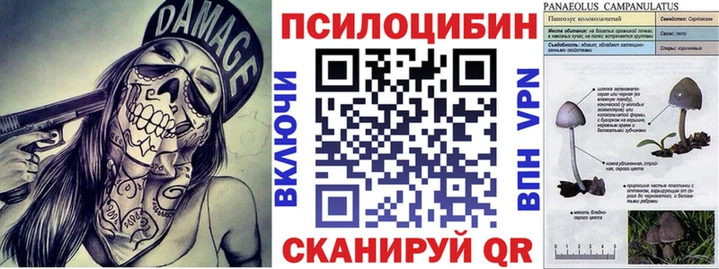 купить наркоту  Рошаль  Псилоцибиновые грибы ЛСД 